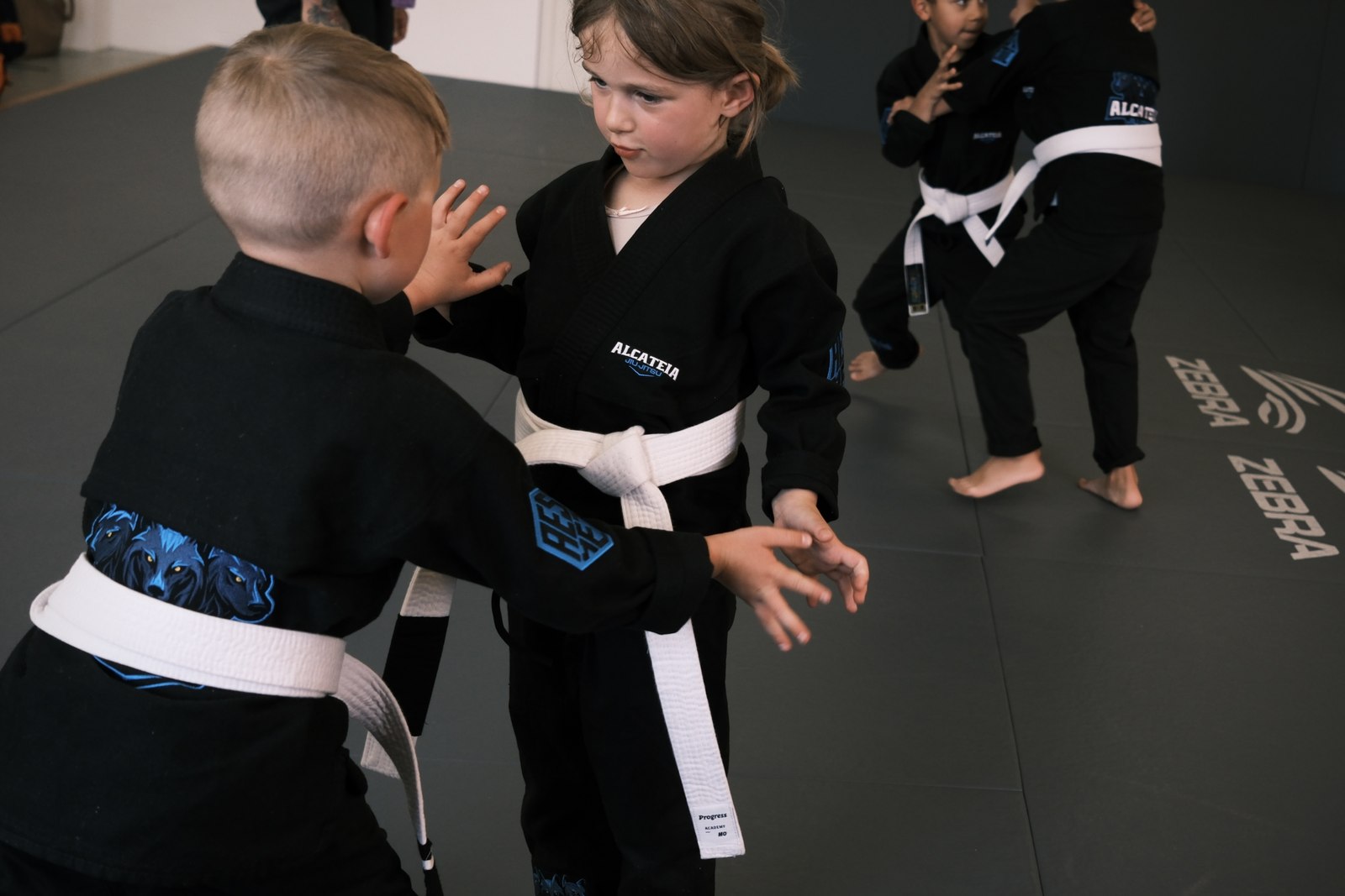 Kids BJJ Programm Alcateia — Kinder Kampfsport Mönchaltorf